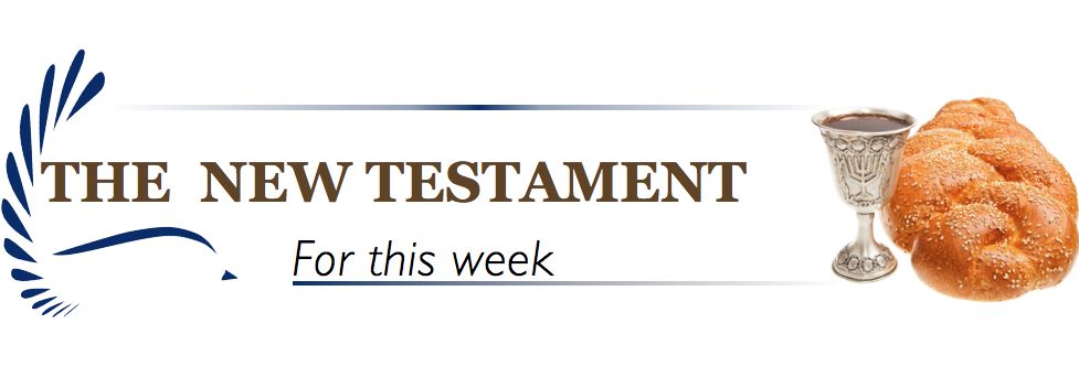 New Testament Banner