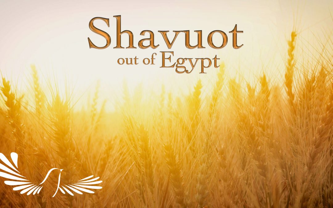 Shavuot out of Egypt