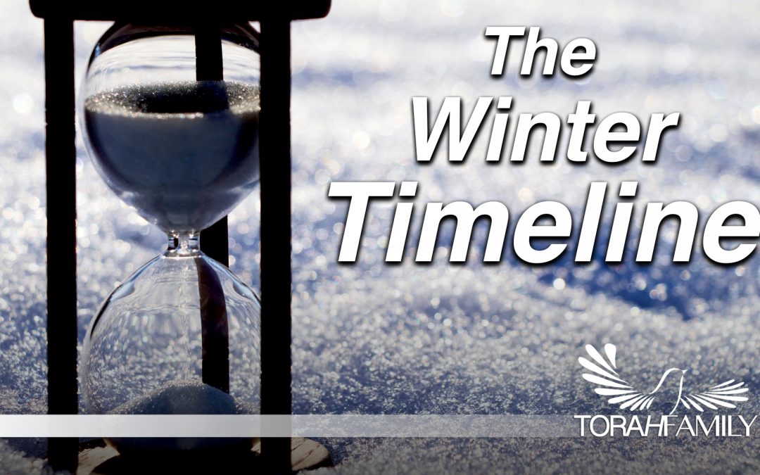 The Winter Timeline