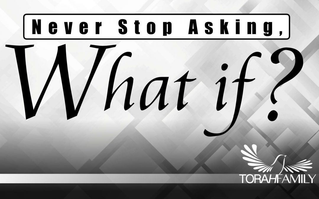 Never Stop Asking, “What if?”