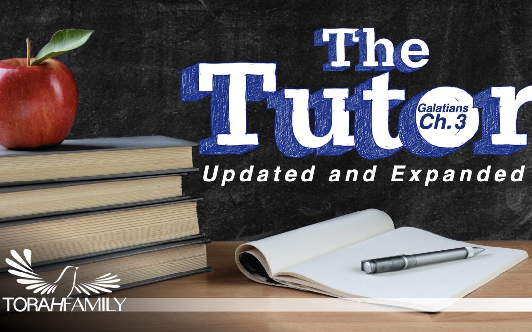 The Tutor – Updated & Expanded
