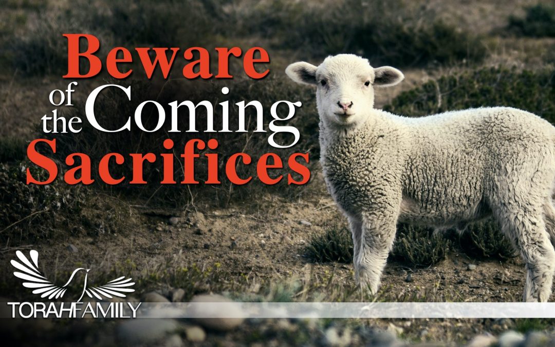 Beware of the Coming Sacrifices
