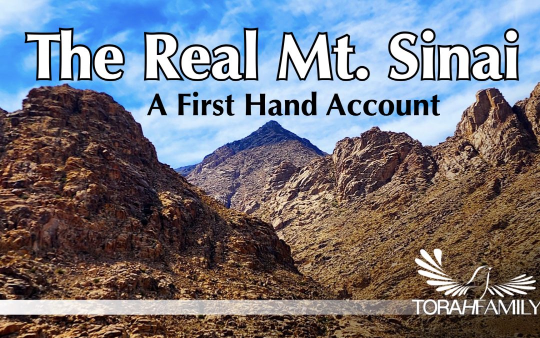 The Real Mt  Sinai