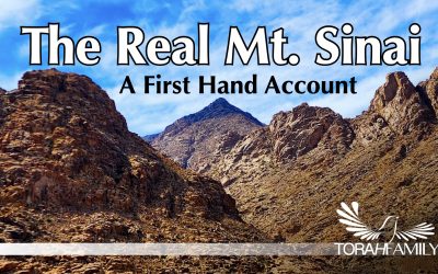 The Real Mt  Sinai