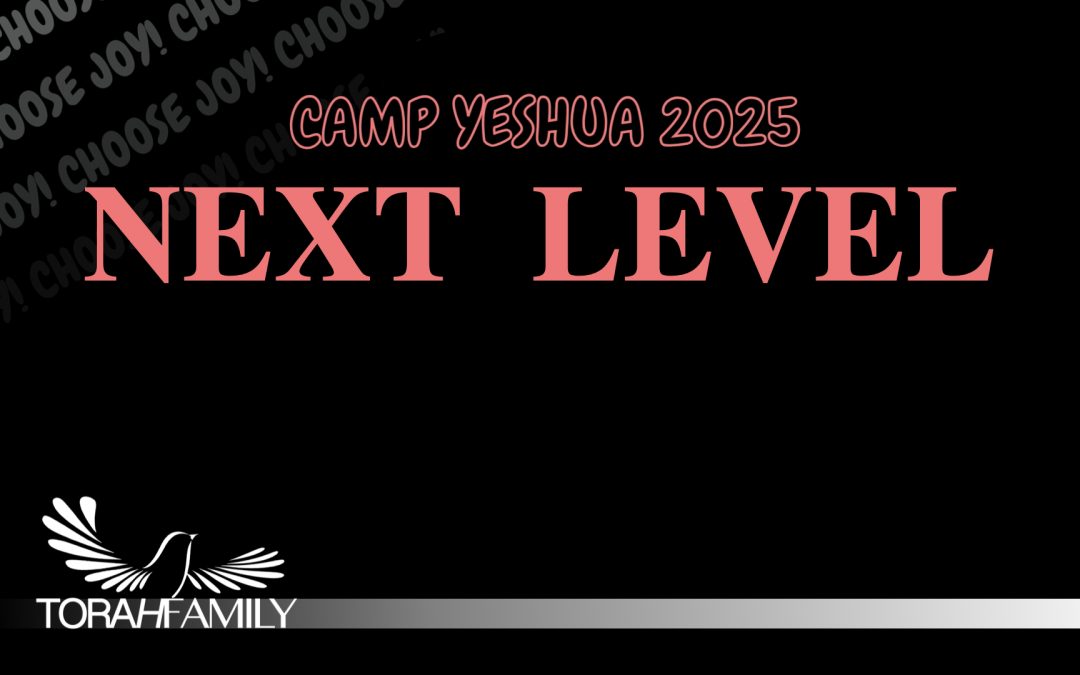Next Level