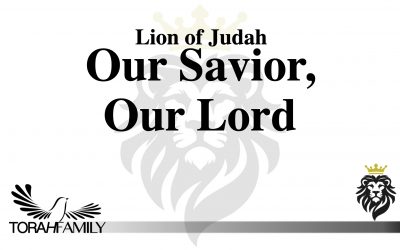 Our Savior, Our Lord