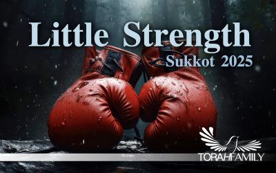 Little Strength