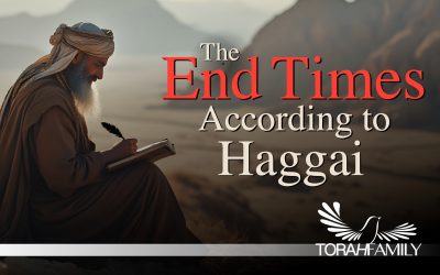 The End Times According to Haggai
