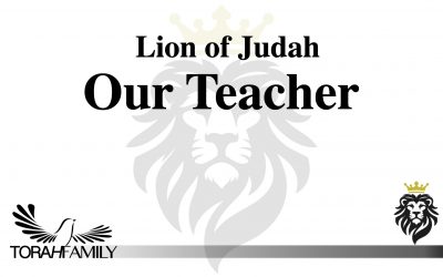 The Lion of Judah, Our Teacher