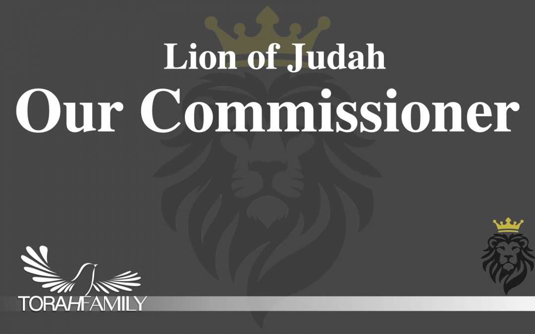 The Lion of Judah, Our Commissioner