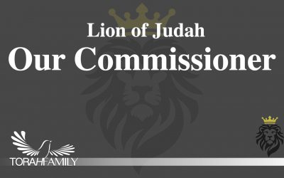 The Lion of Judah, Our Commissioner