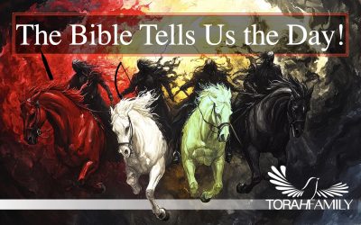 The Bible Tells Us the Day!