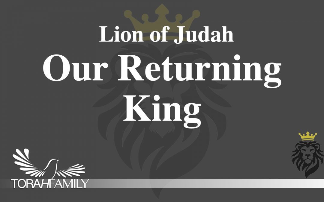 The Lion of Judah, Our Returning King
