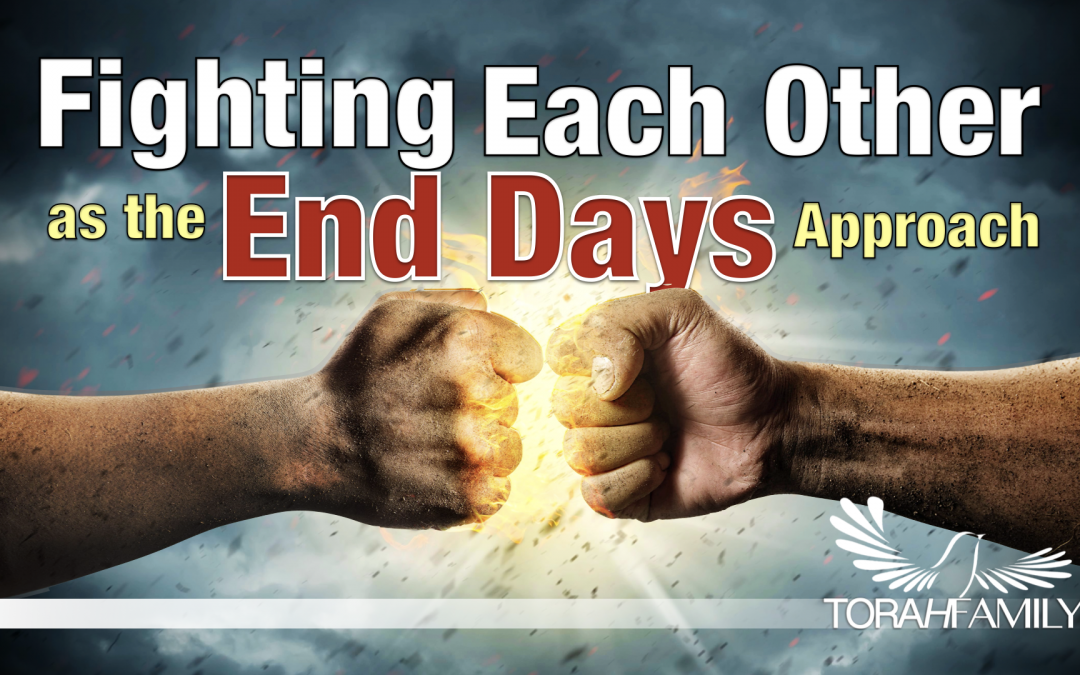 Fighting Each Other as the End Days Approach