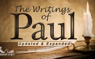 The Writings of Paul Updated and Expanded